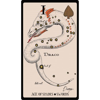 Starlore Arcana Taro kortos žvaigždynams Weiser Books