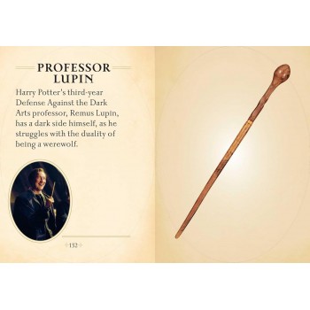 Harry Potter: The Mini Book of Wands Mini knyga Insight Editions