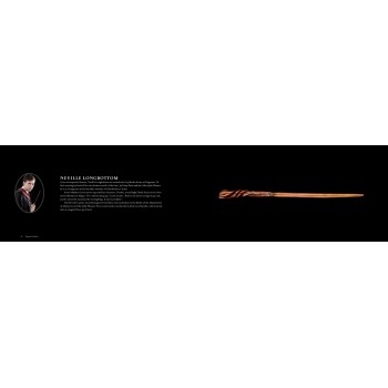 Harry Potter The Wand Collection knyga minkštu viršeliu Insight Editions