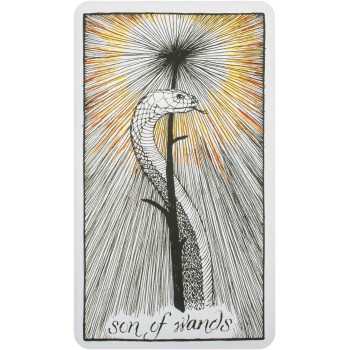 Kosmetinis defektas The Wild Unknown Tarot kortos Harper One