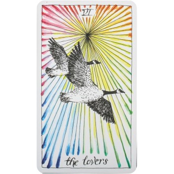 Kosmetinis defektas The Wild Unknown Tarot kortos Harper One