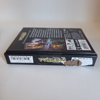 Kosmetinis defektas Fantasy Wizard kortų žaidimas US Games Systems Kosmetinis defektas Fantasy Wizard kortų žaidimas US Games Systems