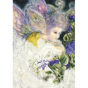 Enchnated Fairies Spalvinimo knyga Blue Angel