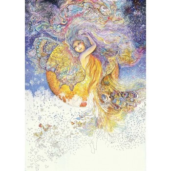 Enchnated Fairies Spalvinimo knyga Blue Angel