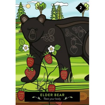 The Animal Elders Oracle kortos Hay House