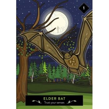 The Animal Elders Oracle kortos Hay House