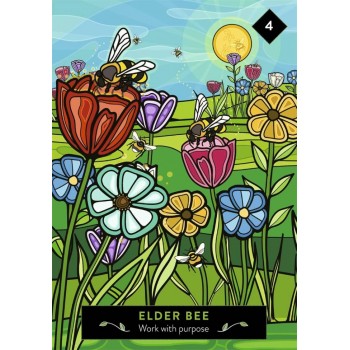 The Animal Elders Oracle kortos Hay House