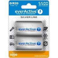 EverActive R20 5500 Silver Line šarminės baterijos 2 vnt.