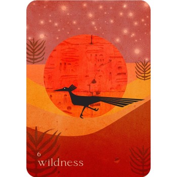 Wild Whispers Oracle kortų kaladė Rockpool Publishing