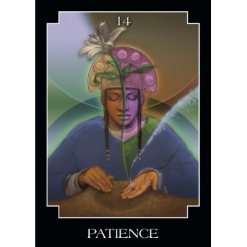 The Psychic Tarot kišeninės orakulo kortos Hay House