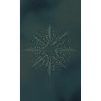 Divine Masculine Healing Oracle kortos Blue Angel