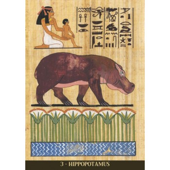 Egyptian Sacred Animals Oracle kortos Lo Scarabeo Egyptian Sacred Animals Oracle kortos Lo Scarabeo