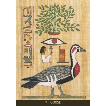 Egyptian Sacred Animals Oracle kortos Lo Scarabeo Egyptian Sacred Animals Oracle kortos Lo Scarabeo