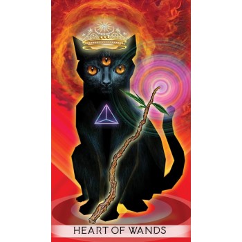 The Unifying Consciousness Taro Kortos Schiffer Publishing