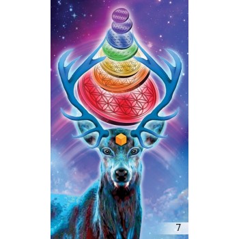 The Unifying Consciousness Taro Kortos Schiffer Publishing