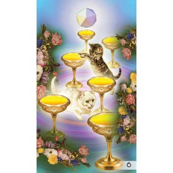 The Unifying Consciousness Taro Kortos Schiffer Publishing