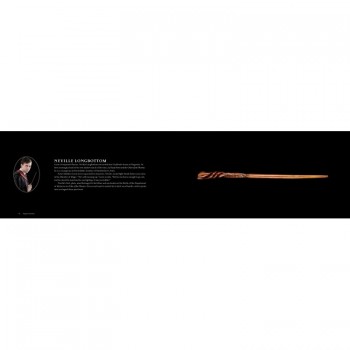 Kosmetinis defektas Harry Potter The Wand Collection knyga minkštu viršeliu Insight Editions