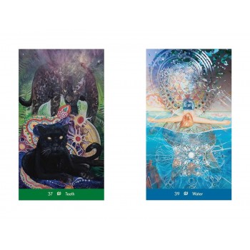 Dream Wisdom Oracle kortos Destiny Books