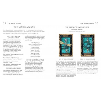 The Gothic Steampunk Tarot: kortų ir knygos rinkinys Cico Books
