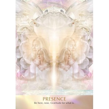 Seeds of Light Oracle kortos Muse Oracle Press