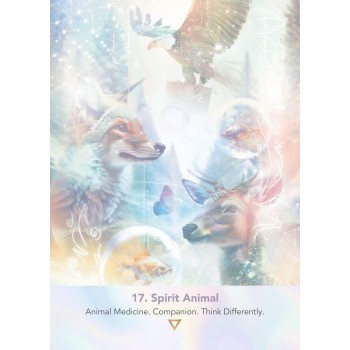 LightWeb Oracle kortos Muse Oracle Press