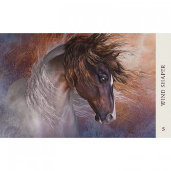 Kosmetinis defektas Horse Wisdom Oracle kortos Blue Angel Kosmetinis defektas Horse Wisdom Oracle kortos Blue Angel