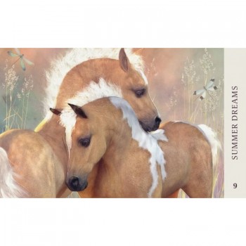 Kosmetinis defektas Horse Wisdom Oracle kortos Blue Angel Kosmetinis defektas Horse Wisdom Oracle kortos Blue Angel