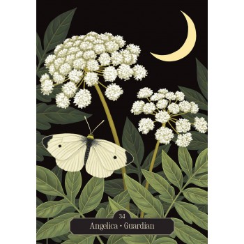 Kate Forsyth's Hedgewitch Oracle kortos Rockpool Publishing