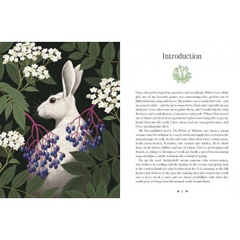Kate Forsyth's Hedgewitch Oracle kortos Rockpool Publishing
