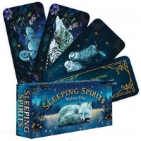 Sleeping Spirits kortos Rockpool Publishing