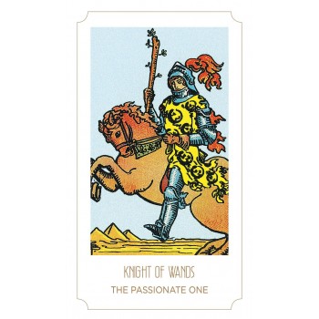 Tarot Young Feel The Vibes Kortos Dusserre by Cartamundi