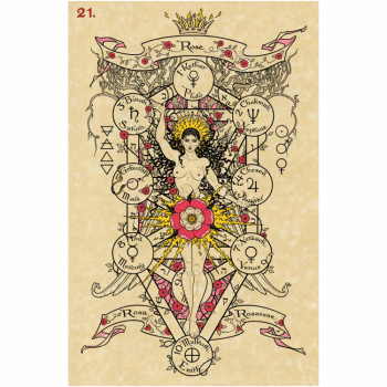 Kosmetinis defektas The Magickal Botanical Oracle kortos Lo Scarabeo Kosmetinis defektas The Magickal Botanical Oracle kortos Lo Scarabeo