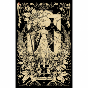 Kosmetinis defektas The Magickal Botanical Oracle kortos Lo Scarabeo Kosmetinis defektas The Magickal Botanical Oracle kortos Lo Scarabeo