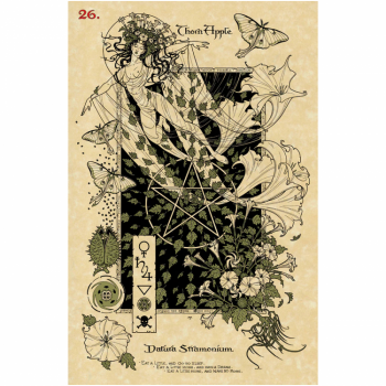 Kosmetinis defektas The Magickal Botanical Oracle kortos Lo Scarabeo Kosmetinis defektas The Magickal Botanical Oracle kortos Lo Scarabeo