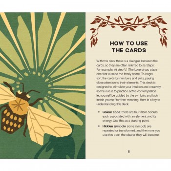 Wild Earth Tarot kortos Rockpool Publishing Wild Earth Tarot kortos Rockpool Publishing