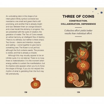 Wild Earth Tarot kortos Rockpool Publishing Wild Earth Tarot kortos Rockpool Publishing