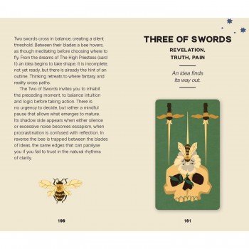 Wild Earth Tarot kortos Rockpool Publishing Wild Earth Tarot kortos Rockpool Publishing