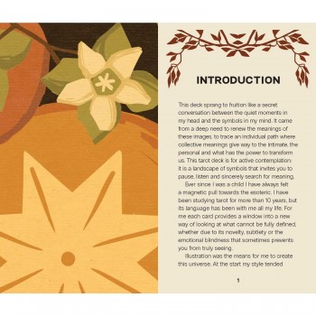 Wild Earth Tarot kortos Rockpool Publishing Wild Earth Tarot kortos Rockpool Publishing