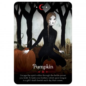 Seasons of the Witch Samhain Oracle Deluxe Edition rinkinys Rockpool Seasons of the Witch Samhain Oracle Deluxe Edition rinkinys Rockpool