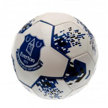 Everton F.C. futbolo kamuolys