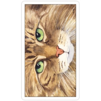 Cats Eye Taro kortos US Games Systems