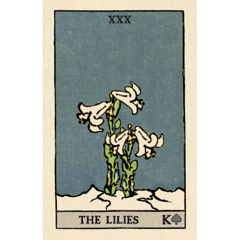 Pixie Astounding Lenormand kortos skardinėjė dėžutėje US Games Systems