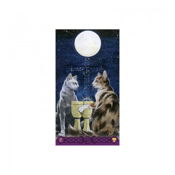 Tarot Of Pagan Cats kortos Lo Scarabeo 