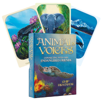 Animal Voices Oracle kortos Blue Angel