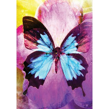 Butterfly Affirmations kortos Blue Angel