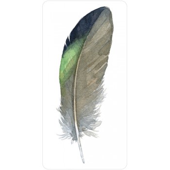 Divine Feather Oracle kortos US Games Systems