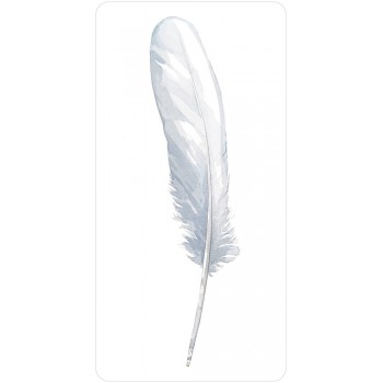 Divine Feather Oracle kortos US Games Systems