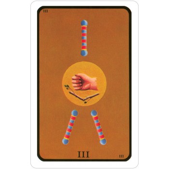 Tarot of The Witches taro kortos US Games Systems