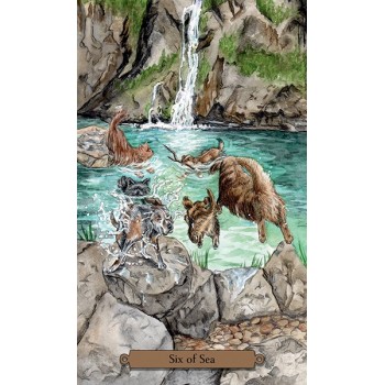 Magical Dogs Tarot Kortos Llewellyn