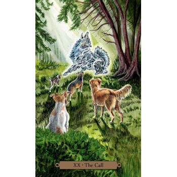 Magical Dogs Tarot Kortos Llewellyn